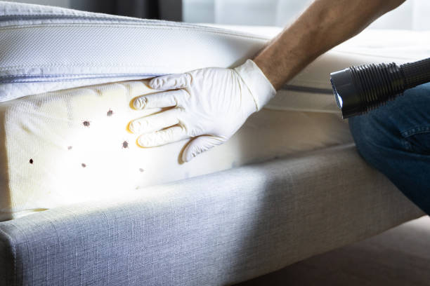 Best Bed Bug Extermination  in Pleasant Grove, UT