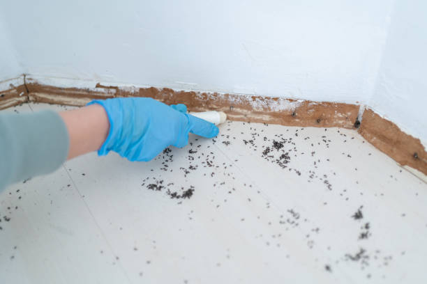 Pest Control Cost in Pleasant Grove, UT